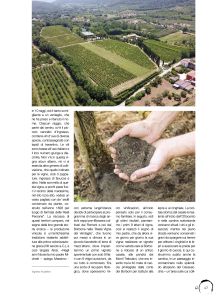 Oinos dedica un approfondimento a Cantine Alois (Andrea Cappelli)