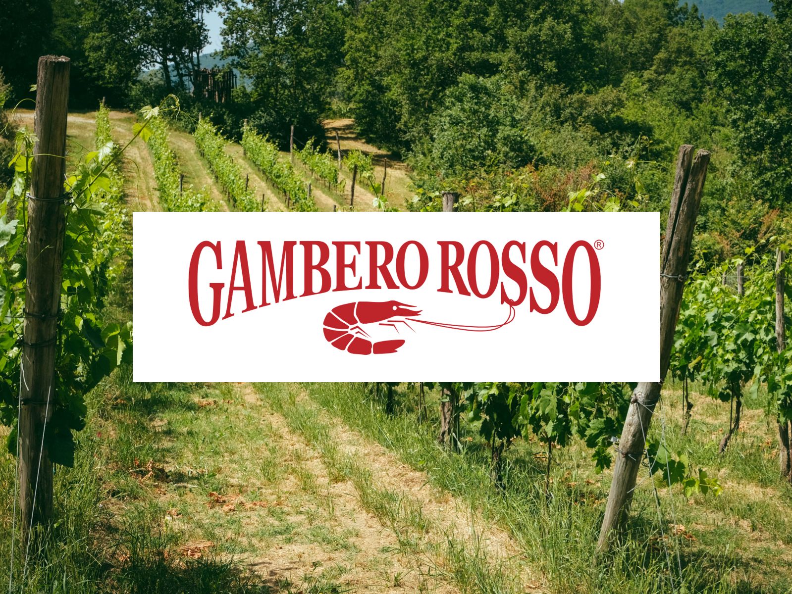 Gambero Rosso Alta Campania